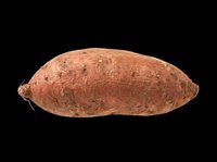 Sweet potato isolated on transparent background, ready for culinary design, recipe graphics, food packaging, print-on-demand products, and educational materials.