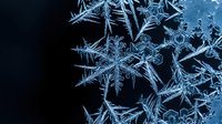 Intricate ice crystals and snowflakes forming delicate frozen patterns on dark surface, showcasing natural winter frost formations and crystalline structures.