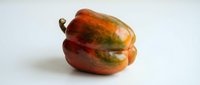 Ripe red and yellow bell pepper with natural color variation and stem on white background for food and culinary projects.