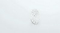 Minimalist fingerprint pattern on white background, subtle gray lines forming biometric identity mark. Clean modern security concept isolated for design projects.