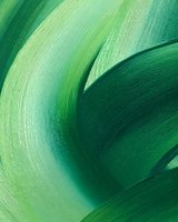 Abstract green brushstroke pattern with dynamic curved lines and textured paint strokes creating depth and movement on canvas. Suitable for modern interior design.