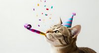 Tabby cat wearing colorful party hat blowing festive noisemaker with confetti falling against white background. Celebration and fun concept.