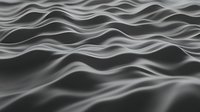 Monochromatic waves create abstract flowing pattern with smooth undulating lines and curves in black and white, suggesting liquid surface or digital terrain.