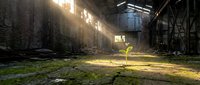 Young green plant growing through cracked floor in abandoned industrial warehouse, sunlight rays illuminating new life amid decay and ruins.