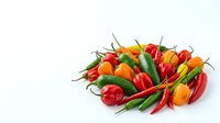 Fresh mixed chili peppers in red, orange, yellow and green varieties arranged on white background, isolated for culinary and food design use.