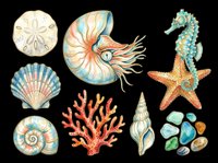 Watercolor ocean clipart set with shells, coral, seahorse, starfish, nautilus, and sea glass, isolated on transparent background. Ready for stickers, T-shirts, and print on demand.