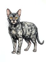 Tabby cat with striking golden eyes standing alert on white background, isolated for design use on apparel and marketing materials.
