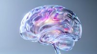 Translucent human brain model with colorful pink and purple glowing areas showing neural activity and consciousness on gray background, medical visualization.
