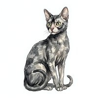 Tabby cat with striking green eyes sitting upright on white background, isolated and ready for design use on apparel, posters, and marketing materials.
