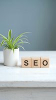 SEO wooden blocks with spider plant on white desk against gray wall for digital marketing and search engine optimization concepts.