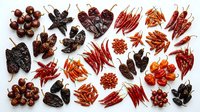 Assorted fresh and dried chili peppers, red berries, and spices arranged on white background for culinary, food styling, and recipe design projects.