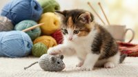 Tabby and white kitten playing with knitted mouse toy surrounded by colorful yarn balls and knitting needles on soft surface, suitable for pet care, crafts, and hobby content.