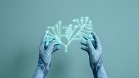 Hands holding glowing digital plant network against blue background, representing growth, innovation, and sustainable technology for business and environmental concepts.