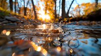 Water drop splash creating ripples in forest stream with golden sunburst through autumn trees, macro photography with bokeh effect and reflection on surface.