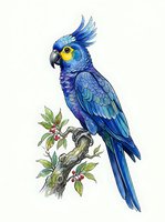 Blue macaw parrot perched on branch with green leaves and berries, isolated on white background. Suitable for wildlife design, educational materials, and decorative artwork.