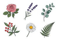 Pink rose with green foliage, lavender sprigs, eucalyptus branch, red berries with leaves, white daisy with yellow center, and green fern frond isolated on white background. Botanical illustrations suitable for design projects, invitations, and decorative applications.