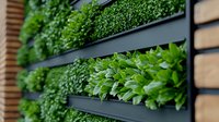 Modern vertical garden with lush green plants growing in black wall-mounted planters, creating contemporary living wall design for urban spaces and interior decor.