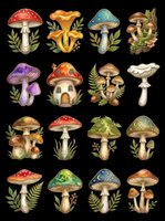 Colorful watercolor mushroom clipart set isolated on transparent background, ready for stickers, t-shirt design, print on demand, and sublimation projects.