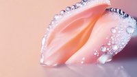 Delicate pink tulip petal with morning dew drops creating magical bokeh effect, macro photography showing nature's pure beauty and freshness in soft pastel tones.