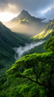 Dramatic mountain landscape with sunlight breaking through clouds, illuminating lush green valleys and forest canopy while morning mist flows through deep ravines.