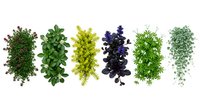 Six different herb varieties arranged in neat piles on white background, perfect for culinary design projects and cooking content creation.