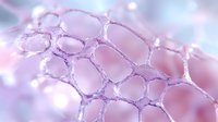 Microscopic view of pink organic cell structure showing delicate membrane patterns and cellular walls in soft pastel tones, highlighting natural biological formations.