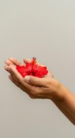 Close-up of a woman's hand holding a vibrant red hibiscus flower against a neutral beige background. The delicate petals and prominent stamens are clearly visible. Suitable for beauty, wellness, nature, and lifestyle design projects.