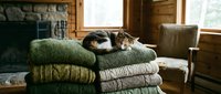 Tabby cat resting on folded knit sweaters and cardigans in cozy rustic cabin interior with fireplace and wooden furniture.