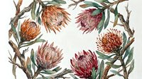 Watercolor wreath of protea flowers with branches and leaves in warm earthy tones, painted on white background for botanical art prints.
