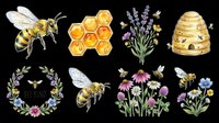 Honey bee with honeycomb, lavender flowers, beehive, and wildflowers isolated on transparent background. Ready for t-shirt design, clipart, stickers, sublimation, and print-on-demand products.