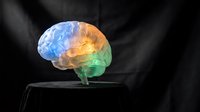 Glowing brain with blue, orange, and green light segments on dark background, representing intelligence, neuroscience, and cognitive function for medical and educational use.