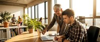 Senior male mentor with gray hair and brown cardigan guiding younger male employee in plaid shirt at wooden desk in bright modern office with plants and windows.