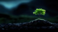 Lone green tree growing on dark soil mound against moody night sky background, symbolizing hope, growth and resilience in nature. Environmental concept.