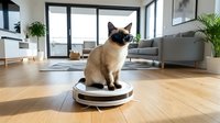 Siamese cat sitting on robotic vacuum cleaner in modern living room with large windows, gray sofa and wooden floors for pet care automation concepts.