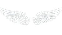 Detailed angel wings outline drawing isolated on white background for tattoo design, logo creation, and graphic projects.