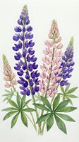 Watercolor lupine flowers in purple and pink hues with green leaves on textured paper background for botanical art and garden design projects.