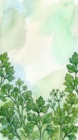 Watercolor botanical frame with green parsley herbs at bottom border, soft pastel wash background in mint and cream tones, isolated design element for culinary, wellness, organic product packaging and recipe card layouts.
