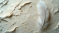 White delicate feather on textured beige plaster wall background with dramatic shadows and light creating artistic minimalist composition.