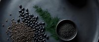 Black beans and lentils scattered on dark surface with metal bowl containing seeds and fresh dill herb for healthy cooking and nutrition concepts.