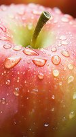 Fresh red apple with water droplets in macro photography, highlighting stem and natural moisture on smooth skin surface. Suitable for food and healthy lifestyle concepts.