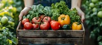 Fresh organic vegetables in rustic wooden box, including vibrant tomatoes, yellow bell peppers and leafy greens, held by farmer's hands against garden background.