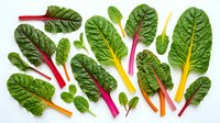 Fresh rainbow chard leaves with colorful stems arranged on white background. Organic leafy greens perfect for healthy cooking and nutrition concepts.