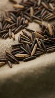 Scattered sunflower seeds with striped black and tan shells arranged on natural linen fabric, showcasing organic texture and earthy tones for food and culinary projects.