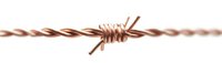 Copper barbed wire macro shot on white background shows metallic twisted strands and sharp barbs, isolated design element for security concepts.