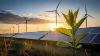 Green plant growing in renewable energy farm with solar panels and wind turbines at sunset symbolizing sustainable development and clean power generation.