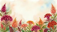 Watercolor celosia flowers border with warm orange, red and pink blooms on soft pastel background with copy space for text.