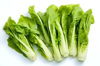 Fresh green romaine lettuce hearts arranged in row on white background, isolated organic produce showing crisp leaves and pale stems for food and cooking concepts.