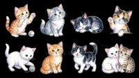 Playful kittens and cats in various poses isolated on transparent background, ready for t-shirt designs, stickers, clipart, sublimation and print-on-demand projects.