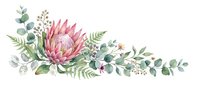 Pink protea flower with eucalyptus leaves and fern foliage arranged in horizontal composition, isolated on white background for design projects.