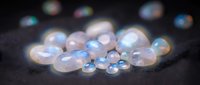 Luminous opal gemstones with rainbow iridescence scattered on dark surface. Natural precious stones displaying fire and color play for jewelry design.